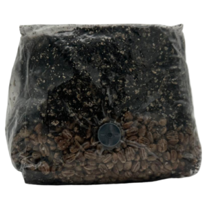 1LB All-in-One Dung Master Grow Bag