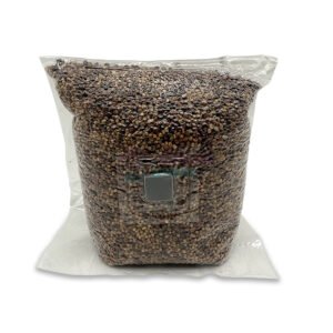 1KG Sterilised Millet & Milo Grain Spawn – Fast Colonisation