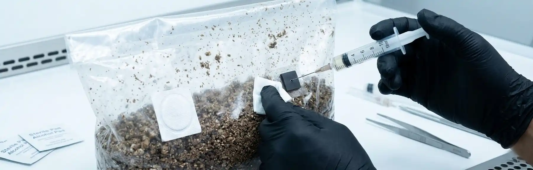 injecting spores into grow bag injection port sterile technique