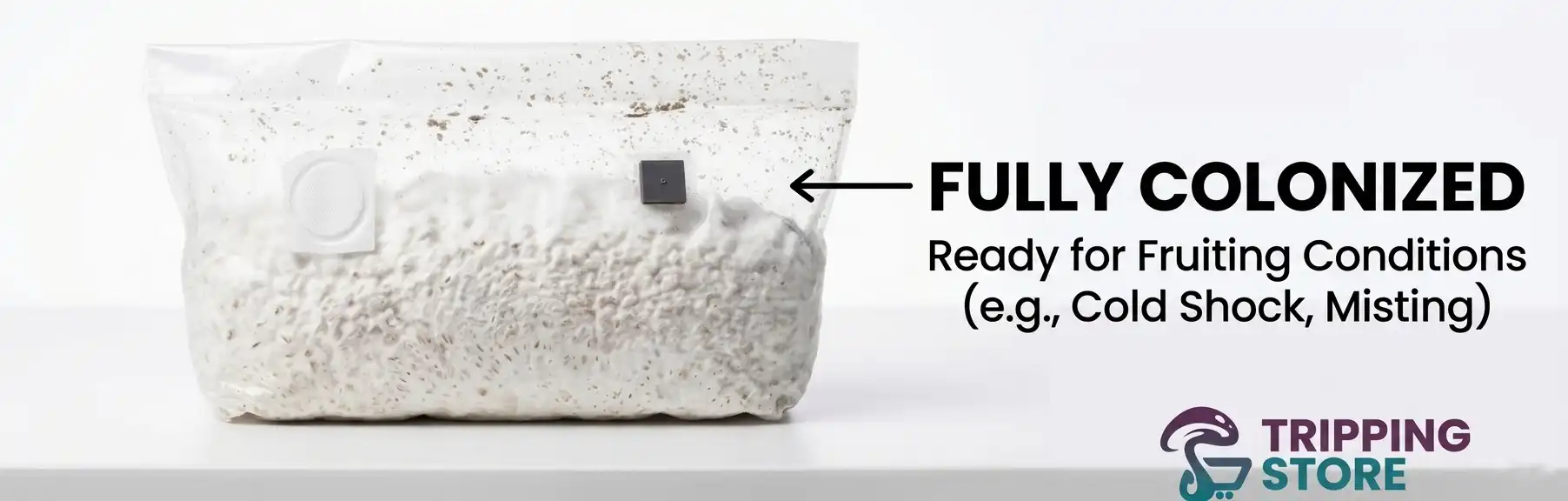 fully colonized grow bag ready for next stage