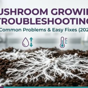 Featured image for a mushroom growing troubleshooting guide showing common cultivation problems, healthy mycelium, and practical solutions for beginner mushroom growers.