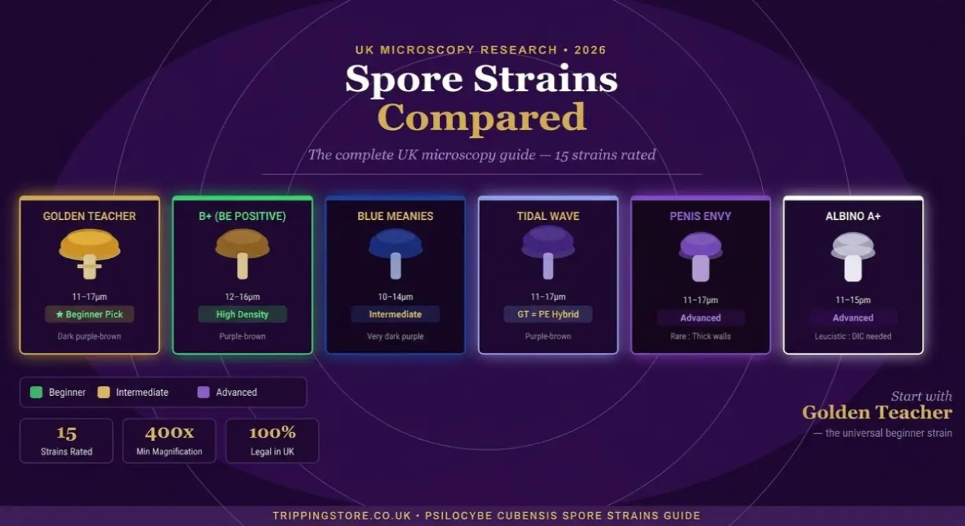 Magic mushroom spore strains comparison chart showing Golden Teacher, B+, Blue Meanies, Tidal Wave, Penis Envy and Albino A+ for UK microscopy research 2026