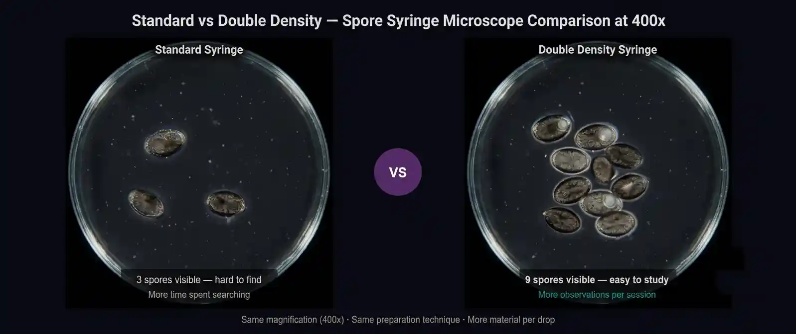 Microscope field of view comparison showing sparse spores on a standard density slide versus dense spore population on a double density slide at 400x magnification