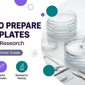 Sterile agar plates prepared for mushroom spore research with a spore syringe, petri dishes, and laboratory tools in a clean scientific workspace.