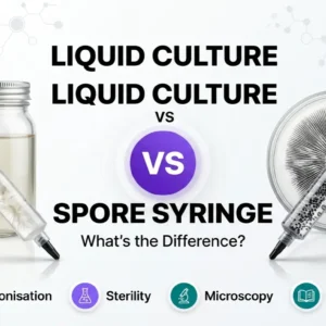 Comparison of a liquid culture syringe and a mushroom spore syringe, highlighting the key differences for mycology and microscopy research.