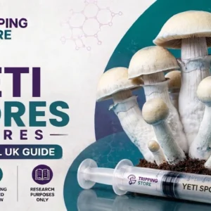 Yeti spores microscopy guide for UK research
